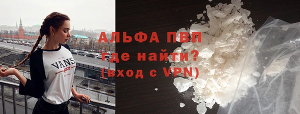 стаф Дмитров
