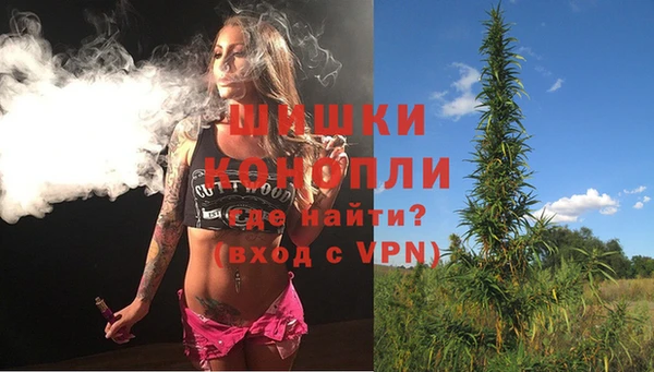 стаф Дмитров