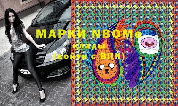 стаф Дмитров