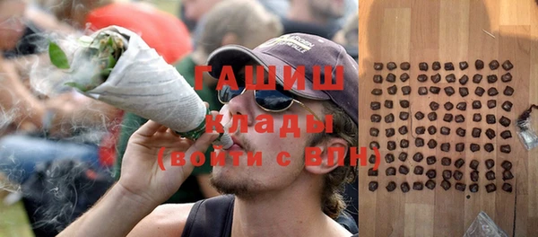 стаф Дмитров