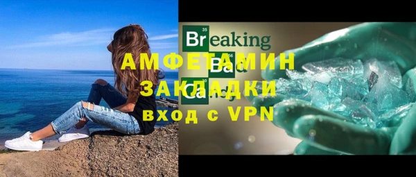 стаф Дмитров