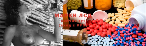 стаф Дмитров